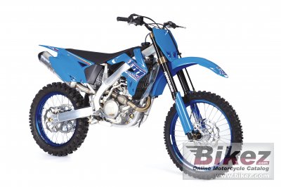2010 TM Racing MX 450 F photo